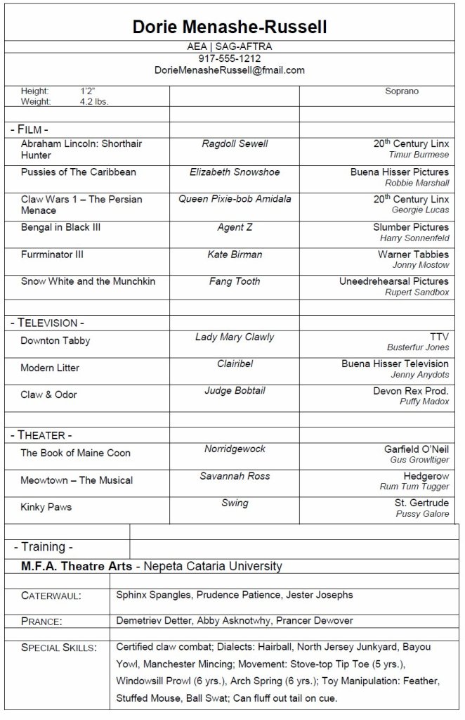 Actors Resume Table Format for Email